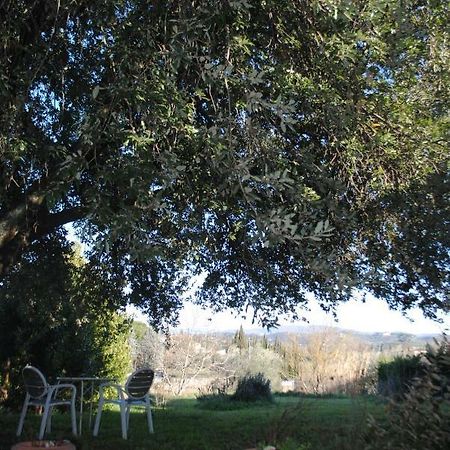 Agriturismo Fattoria Di Malavolta Firenze Bagian luar foto