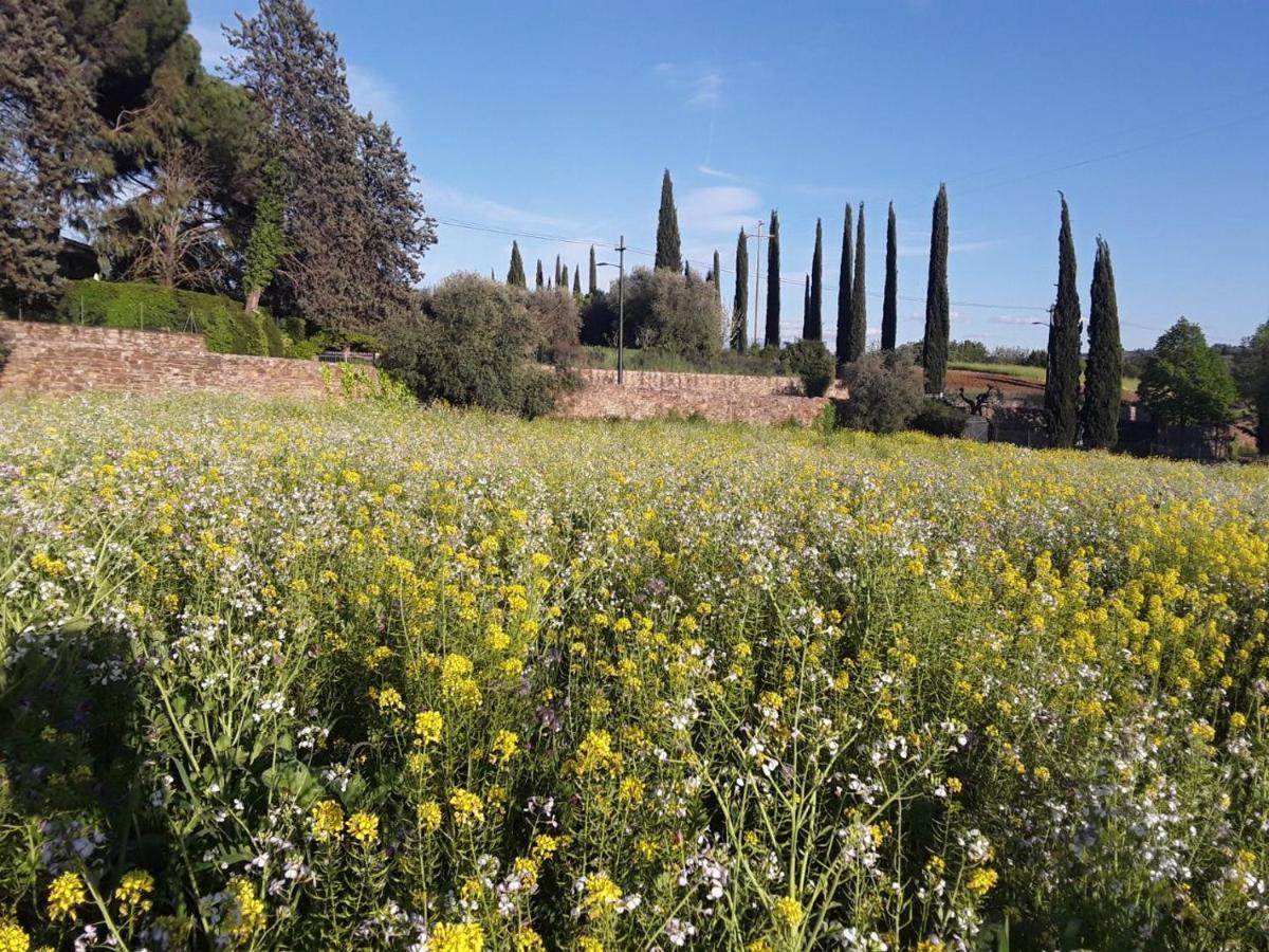 Agriturismo Fattoria Di Malavolta Firenze Bagian luar foto